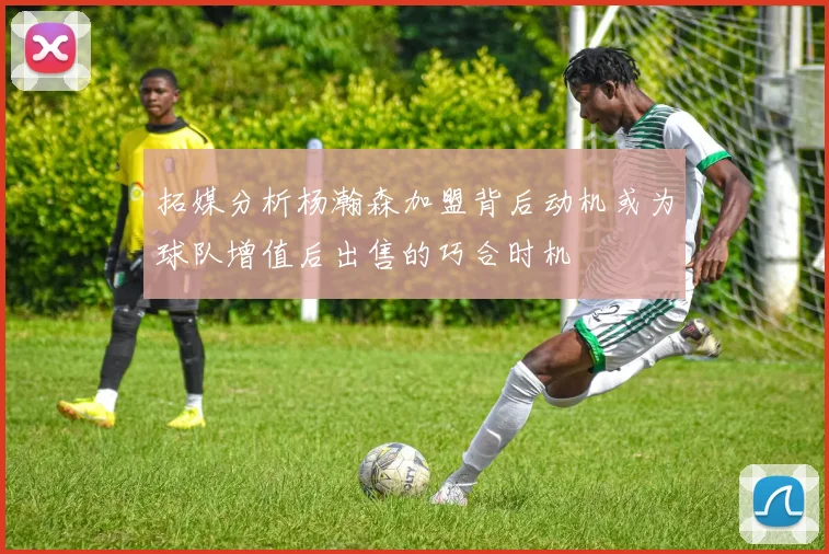 拓媒分析杨瀚森加盟背后动机或为球队增值后出售的巧合时机