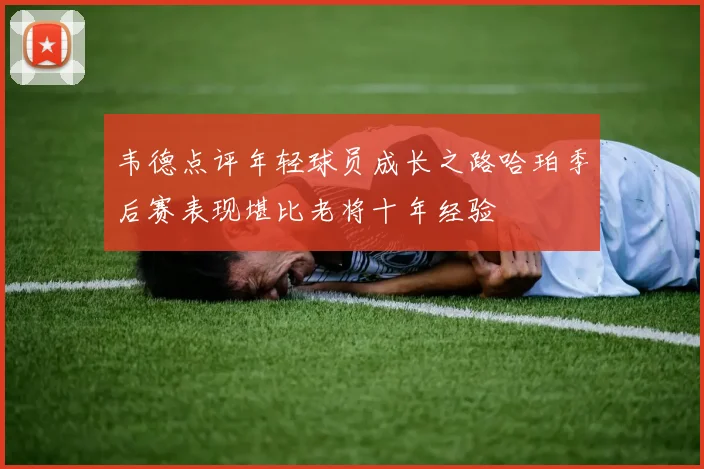 韦德点评年轻球员成长之路哈珀季后赛表现堪比老将十年经验